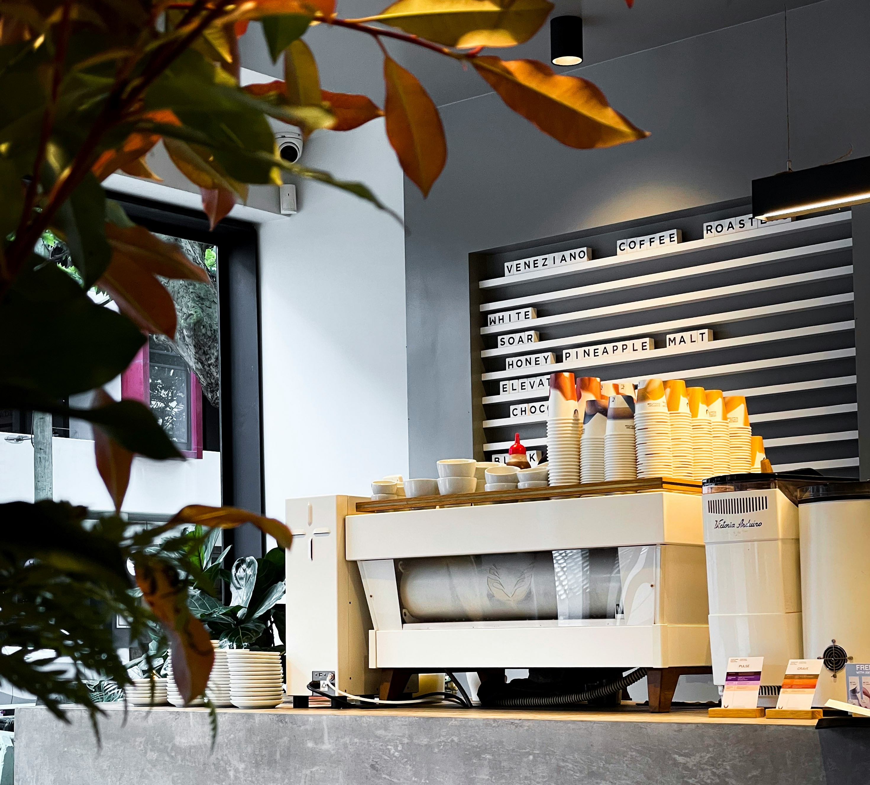 Cafe counter scene in Sydney, Australia